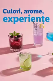 Catalog Lidl Pagină 16