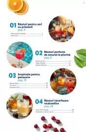 Catalog Lidl Pagină 3