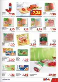 Volantino Vivo Supermercati Pagina 21