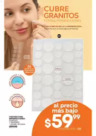 Catálogo Fuller Página 111