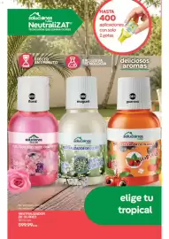 Catálogo Fuller Página 144