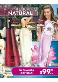 Catálogo Fuller Página 17