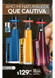 Catálogo Fuller Página 32