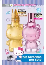 Catálogo Fuller Página 37