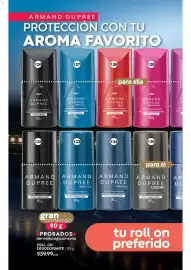 Catálogo Fuller Página 44