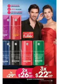 Catálogo Fuller Página 45
