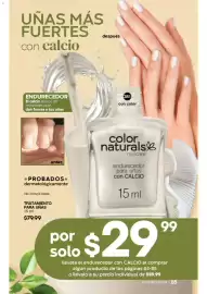 Catálogo Fuller Página 75