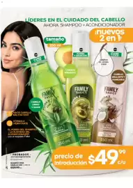 Catálogo Fuller Página 86