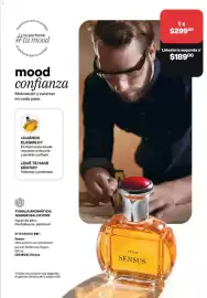 Catálogo Avon Página 81