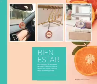 Catálogo Avon Página 102