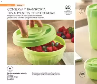 Catálogo Avon Página 26