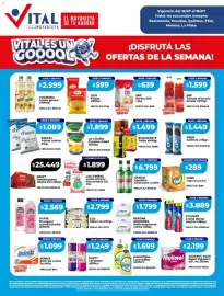 Catálogo Supermayorista Vital semana 29 Página 1