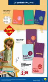 Lidl gazetka tydzień 30 Strona 17