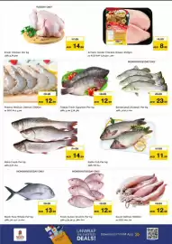 Nesto catalogue Page 10