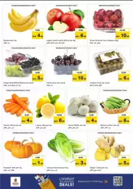 Nesto catalogue Page 11
