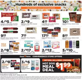 Mills Fleet Farm weekly ad week 29 Page 28