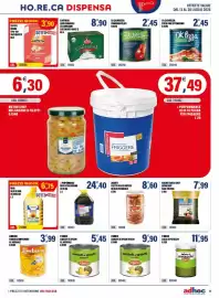 Volantino Adhoc Pagina 17