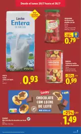 Catálogo Lidl semana 30 Página 17