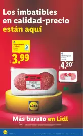 Catálogo Lidl semana 30 Página 18