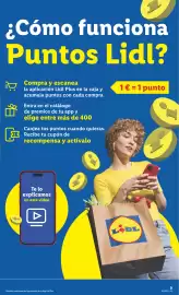 Catálogo Lidl semana 30 Página 21