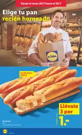 Catálogo Lidl semana 30 Página 4