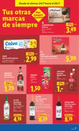 Catálogo Lidl semana 30 Página 45
