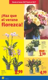 Catálogo Lidl semana 30 Página 48