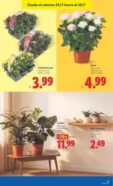 Catálogo Lidl semana 30 Página 49