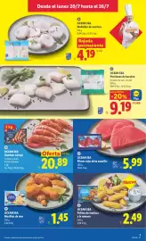 Catálogo Lidl semana 30 Página 9