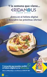 Catálogo Lidl | bazar Página 34