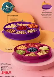 Catálogo Tupperware Página 102