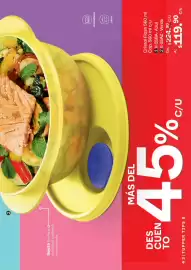 Catálogo Tupperware Página 43