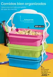 Catálogo Tupperware Página 45