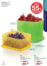Catálogo Tupperware Página 81