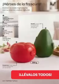 Catálogo Tupperware Página 84