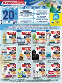 Revista Maxiconsumo semana 29 Página 1