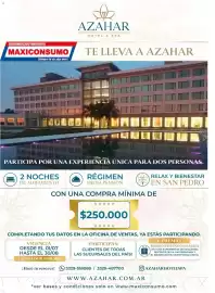 Revista Maxiconsumo semana 29 Página 14