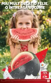 Catalog Kaufland săptămâna 29 Pagină 12