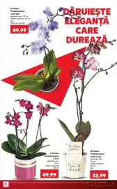 Catalog Kaufland săptămâna 29 Pagină 17