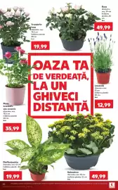 Catalog Kaufland săptămâna 29 Pagină 20