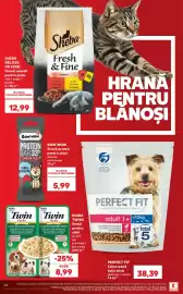 Catalog Kaufland săptămâna 29 Pagină 66