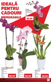 Catalog Kaufland săptămâna 29 Pagină 18