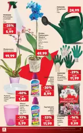 Catalog Kaufland săptămâna 29 Pagină 19