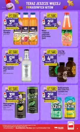 Polomarket gazetka tydzień 29 Strona 9