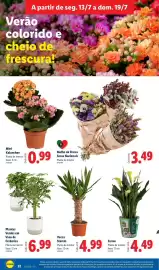 Folheto Lidl semana 29 Página 32