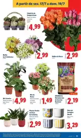 Folheto Lidl semana 29 Página 33