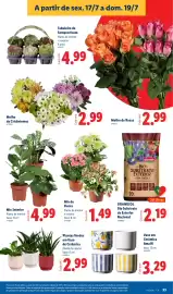 Folheto Lidl semana 29 Página 33