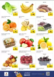 Nesto catalogue Page 2