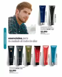 Catálogo Avon Página 15