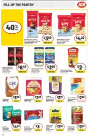 IGA catalogue week 29 Page 21